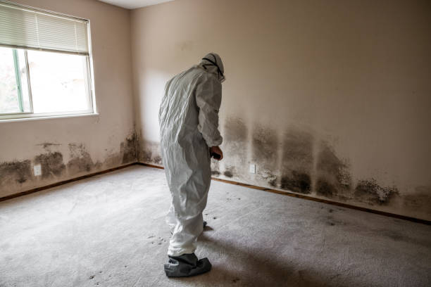 Mold Removal for HVAC Installations in Baldwinsville, NY